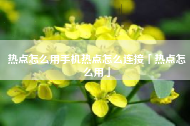 热点怎么用手机热点怎么连接「热点怎么用」