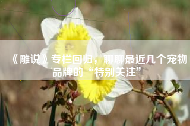 《雕说》专栏回归，聊聊最近几个宠物品牌的“特别关注”