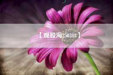【观股海250313】