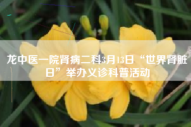 龙中医一院肾病二科3月13日“世界肾脏日”举办义诊科普活动