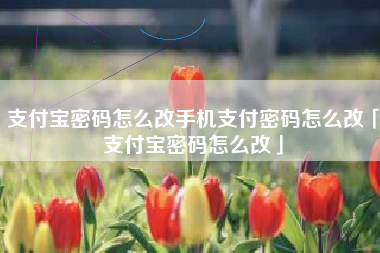 支付宝密码怎么改手机支付密码怎么改「支付宝密码怎么改」