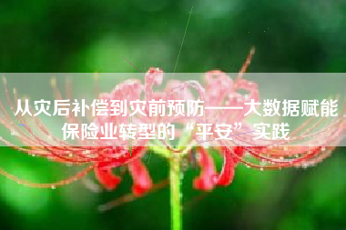 从灾后补偿到灾前预防——大数据赋能保险业转型的“平安”实践