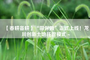【春耕备耕】“田保姆”正式上线！龙川创新土地托管模式～