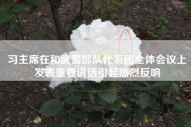 习主席在和武警部队代表团全体会议上发表重要讲话引起热烈反响