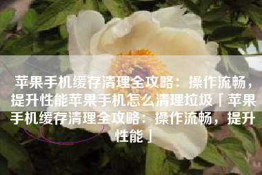 苹果手机缓存清理全攻略：操作流畅，提升性能苹果手机怎么清理垃圾「苹果手机缓存清理全攻略：操作流畅，提升性能」