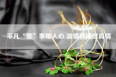 平凡“警”事暖人心 温情救援显真情