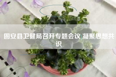 固安县卫健局召开专题会议 凝聚思想共识