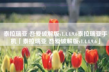 泰拉瑞亚 吾爱破解版v1.4.4.9.6泰拉瑞亚手机「泰拉瑞亚 吾爱破解版v1.4.4.9.6」