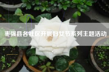 枣强县各社区开展妇女节系列主题活动