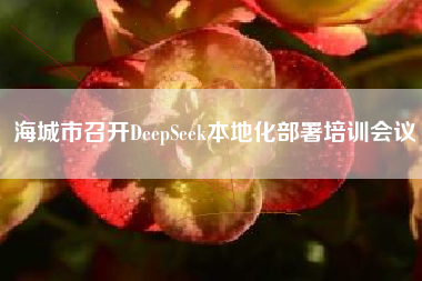 海城市召开DeepSeek本地化部署培训会议
