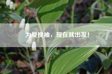 为爱挽袖，现在就出发！
