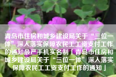 青岛市住房和城乡建设局关于“三位一体”深入落实保障农民工工资支付工作的通知最严手机实名制「青岛市住房和城乡建设局关于“三位一体”深入落实保障农民工工资支付工作的通知」 青岛市住房和城乡建设局关于“三位一体”深入落实保障农民工工资支付工作的通知最严手机实名制「青岛市住房和城乡建设局关于“三位一体”深入落实保障农民工工资支付工作的通知」