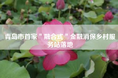 青岛市首家＂融合式＂金融消保乡村服务站落地