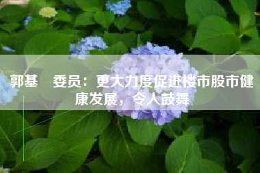 郭基煇委员:更大力度促进楼市股市健康发展,令人鼓舞 郭基煇委员:更大力度促进楼市股市健康发展,令人鼓舞