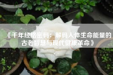 《千年经络密码：解码人体生命能量的古老智慧与现代健康革命》