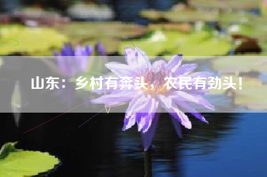 山东：乡村有奔头，农民有劲头！