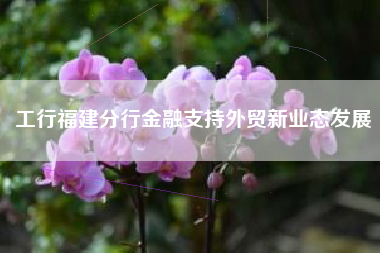 工行福建分行金融支持外贸新业态发展