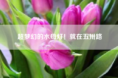 超梦幻的水母灯！就在五卅路
