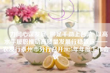 勠力同心谋发展  铆足干劲上台阶  以高水平履职推动高质量发展行稳致远——农发行泰州市分行召开2025年年度工作会议