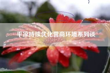 平凉持续优化营商环境系列谈