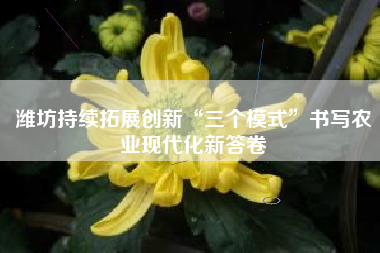 潍坊持续拓展创新“三个模式”书写农业现代化新答卷