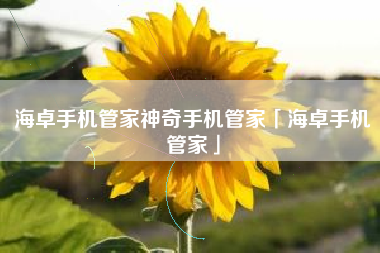 海卓手机管家神奇手机管家「海卓手机管家」