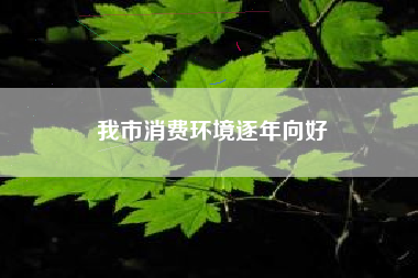 我市消费环境逐年向好