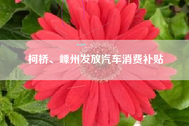 柯桥、嵊州发放汽车消费补贴