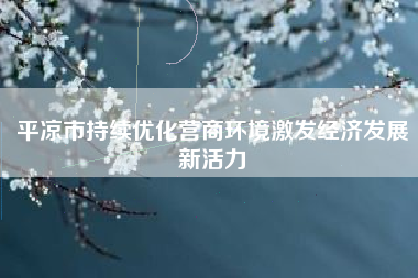 平凉市持续优化营商环境激发经济发展新活力