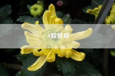A股修屏