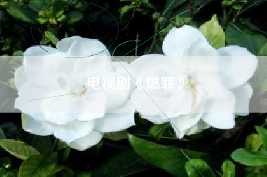 电视剧《燃罪》