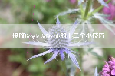 投放Google AdWords的十二个小技巧 投放Google AdWords的十二个小技巧