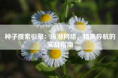 种子搜索引擎：深潜网络，精准导航的实战指南