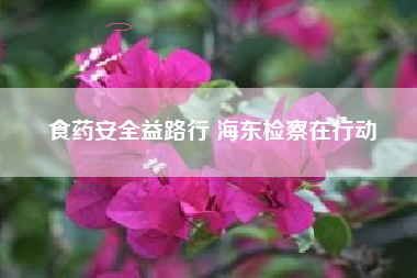 食药安全益路行 海东检察在行动