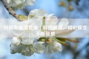 协同发展涌新潮｜科技创新，精彩蝶变不断延展