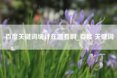 百度关键词统计在哪看啊_百度 关键词