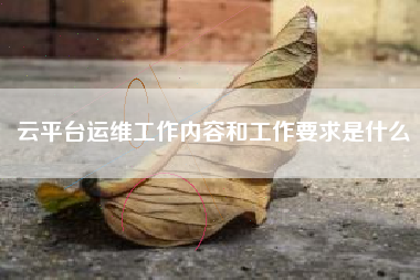 云平台运维工作内容和工作要求是什么