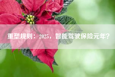 重塑规则：2025，智能驾驶保险元年？
