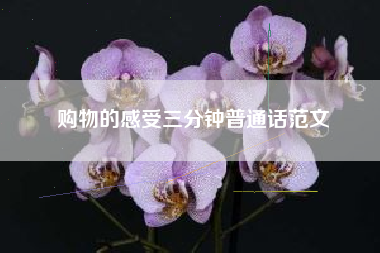 购物的感受三分钟普通话范文