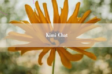 Kimi Chat