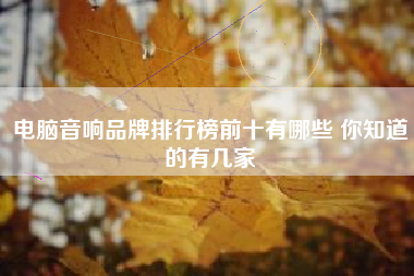 电脑音响品牌排行榜前十有哪些 你知道的有几家