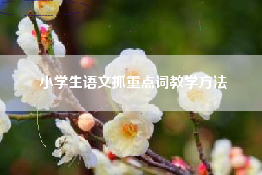 小学生语文抓重点词教学方法