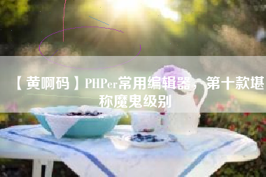 【黄啊码】PHPer常用编辑器，第十款堪称魔鬼级别