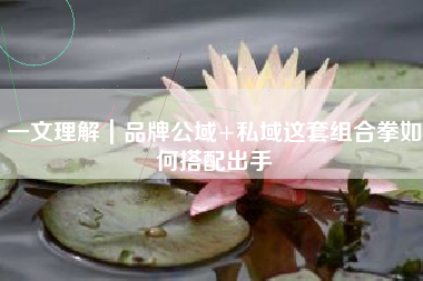 一文理解｜品牌公域+私域这套组合拳如何搭配出手