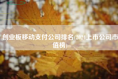 创业板移动支付公司排名(2024上市公司市值榜)