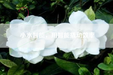 小水智能，用智能撬动效率