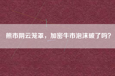 熊市阴云笼罩，加密牛市泡沫破了吗？