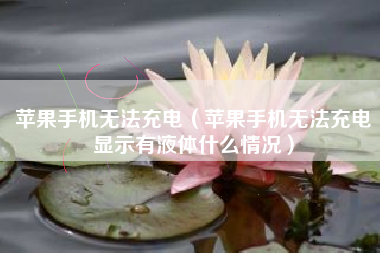苹果手机无法充电（苹果手机无法充电显示有液体什么情况）