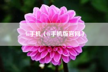lr手机（lr手机版官网）