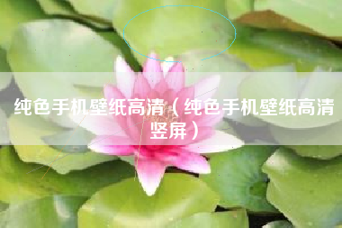 纯色手机壁纸高清（纯色手机壁纸高清竖屏）